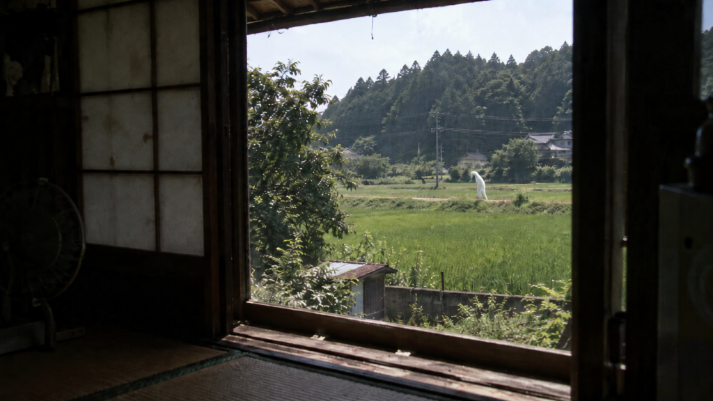 くねくねはどこから現れたのか|「分からないほうがいい」から怪異の成立を追う